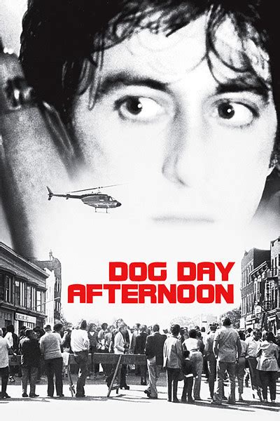 Dog Day Afternoon .